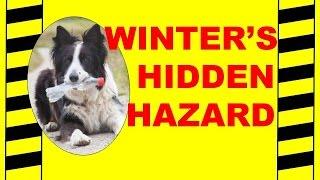 Winter's Hidden Hazard - Cold Weather Health & Safety - Safety Training Video