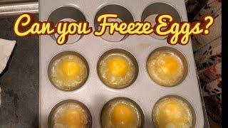 Can you Freeze Eggs?