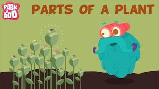 Parts Of A Plant | The Dr. Binocs Show | Learn Videos For Kids