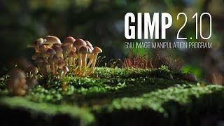 GIMP 2.10.18 -- The Open Source Photoshop Alternative