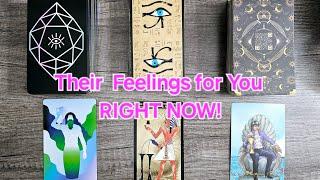 Their Feelings for you Right Now! Pick a Card Love ReadingTimless