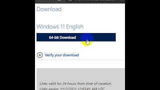 How To Download Windows 11 Disk Image (ISO) | Quick and Easy