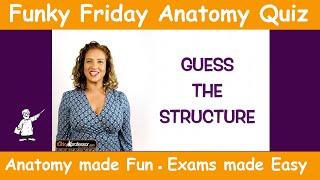 Funky Friday Anatomy Quiz - Guess the structure