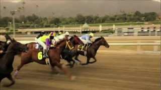 Radioactive Horse Racing