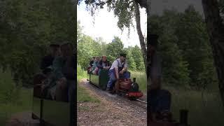 "Edward Albert" on the ELSR #short #steamtrain #steam #train #railway #miniaturerailway #shorts