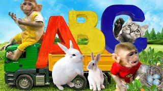 Monkey Baby Bin Bin takes Alphabet Lore [A to Z] truck animal revolt on the farm