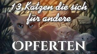 13 Katzen aus Warrior Cats die sich für andere opferten 