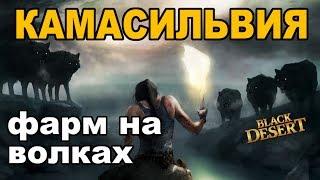 Black Desert (MMORPG) -  Фарм серебра  Спот с волками в Камасильве BDO