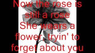 A rose is still a rose Aretha Franklin lyrics