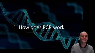 How does PCR work?