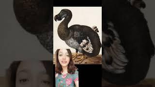 Animales extintos: El dodo volverá a la vida #shorts