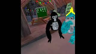 DAISY09 JOINED MY PRIVATE SEVER (gorilla tag vr)