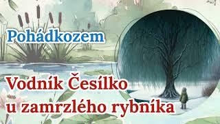 Vodník Česílko u zamrzlého rybníka - Mluvená pohádka na dobrou noc z Pohádkozemě