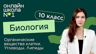 Органические вещества клетки. Углеводы. Липиды. Биология 10 класс. Видеоурок 4