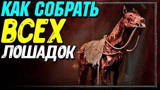 Самые редкие СКИНЫ НА ЛОШАДЬ в Diablo 4