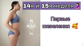 Первые Шевеления | Растяжки | Моё Самочувствие |14 я и 15 я Неделя Беременности