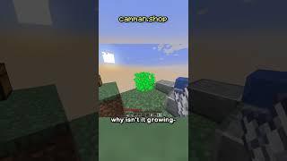 Skyblock, But Block Drops Are Random