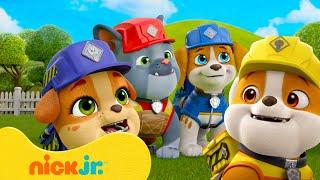 Rubble viert zijn vriendschap met Mix, Charger & Wheeler! | 90 minuten | Nick Jr. Nederlands