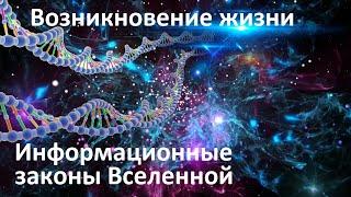 Информационные законы Вселенной | Случайно ли возникновение жизни