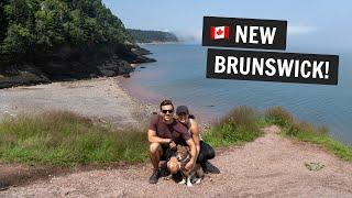 Exploring NEW BRUNSWICK  | TWO national parks, trying Acadian food, & MORE!