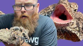 TARANTULA CLEANING!! BALL PYTHON CLUTCH UPDATE!!