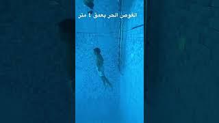 غوص ممتاز مع حمزة - Amazing diving