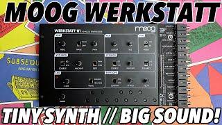 MOOG WERKSTATT-01 & CV EXPANDER // Big analogue synth tone in a tiny affordable package