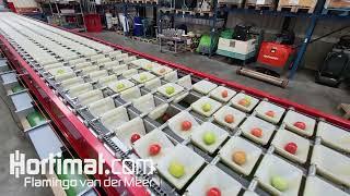 Aweta tomato sorting machine renewed by Hortimat