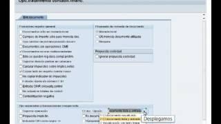 Tutorial en SAP FI   Las Registraciones de Deudor y Acreedor