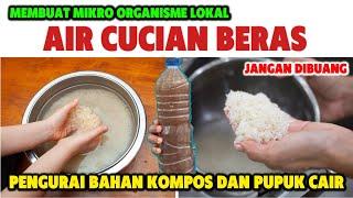 Cara Membuat MOL (Mikro Organisme Lokal) Air Cucian Beras║Pengurai Bahan Kompos & Pupuk Cair