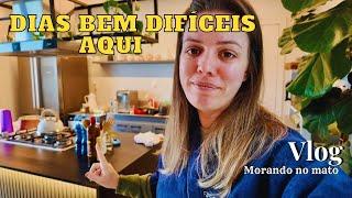 Vlog. Rotina de casa. Chegou Itens para casa.