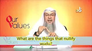 What are the things that nullify my ablution (wudu)? - Sheikh Assimalhakeem
