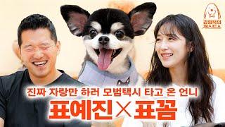 박수 쳐줘야만 밥 먹는 표예진네 강아지 꼼이 [강형욱의개스트쇼] EP.14