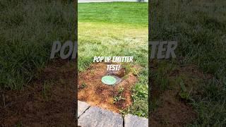 Real World Buried Downspout with Pop up Emitter Test!