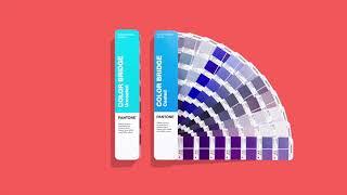 Pantone Color Bridge for Graphic, Packaging, and Digital Design