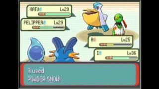 Pokemon Emerald - Any% Glitchless Speedrun in 2:43:24 IGT