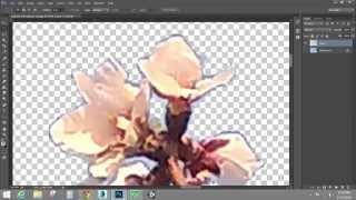 Creating and Using Alpha Channels - TGA/Targa Image Creation (Adobe Photoshop)