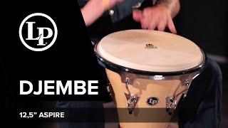 LP Djembe 12,5” Aspire (ENG / SOUND DEMO)