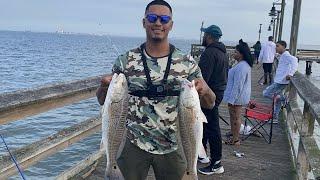 Catching Red Drum Every Cast! Fishing in Newport News, Virginia