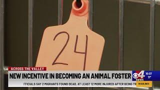 Animal foster incentives