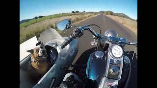 Tilly Training #7. Harley Davidson Heritage Softail and Sidecar.