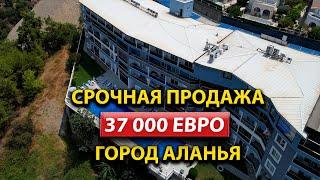 Срочная Продажа Квартиры в Алании | Свой Дом за 37 000 Евро | ArbatHomes 2024