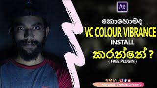 Free VC Colour Vibrance Plugin | How To Download And Install | Sinhala | Film Guide