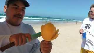 Mango flower on a stick Mexico Rocky Point beach