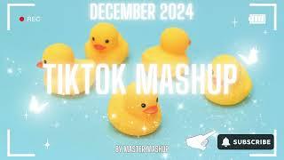  TIKTOK MASHUP DECEMBER 2024  (not clean) 