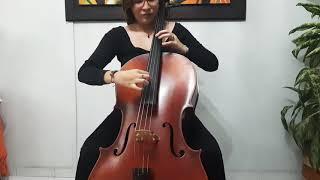 Pizzicato Bartók Violoncello