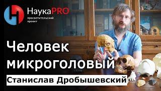 Человек микроголовый и Хомо Наледи – Станислав Дробышевский | Лекции по антропологии | Научпоп