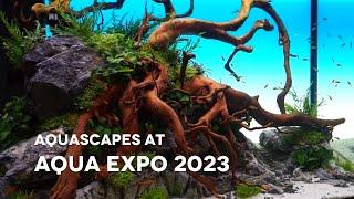 Impressions from the Aqua Expo 2023 | Fair for aquaristics and aquascaping in Germany | Part 1