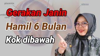 GERAKAN JANIN 6 BULAN ADA DI BAWAH PUSAT, NORMAL ATAU TIDAK YA