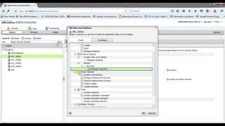 Informatica Administration Training Tutorial 10 - Assign Role and Permissions to User and Group